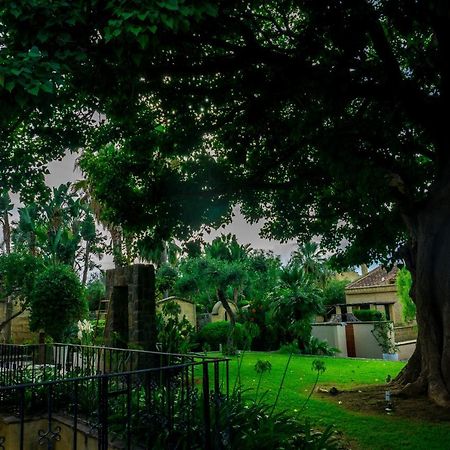 Villa Medina チェファル エクステリア 写真